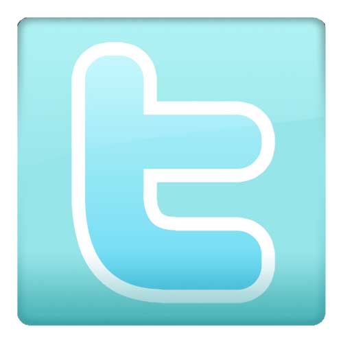 twitter icon